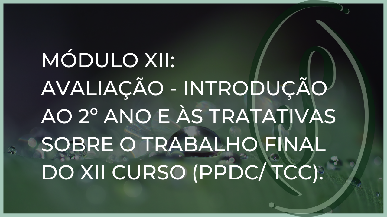 Módulo XII: AVALIAÇÃO - Introdução ao 2º Ano e às tratativas sobre o Trabalho Final do XII Curso (PPDC/ TCC)  