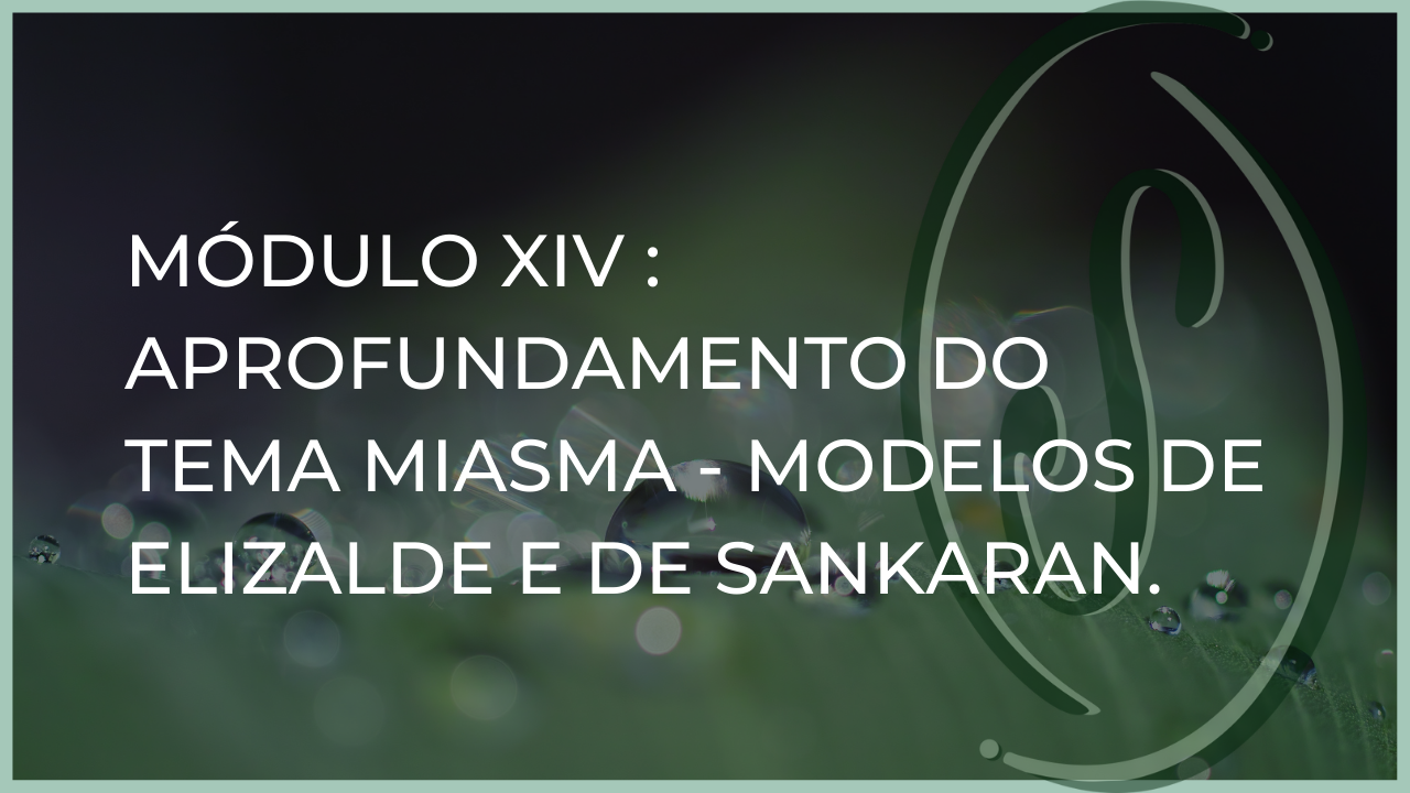 Módulo XIV - APROFUNDAMENTO DO TEMA MIASMA - Modelos de Elizalde e de Sankaran 