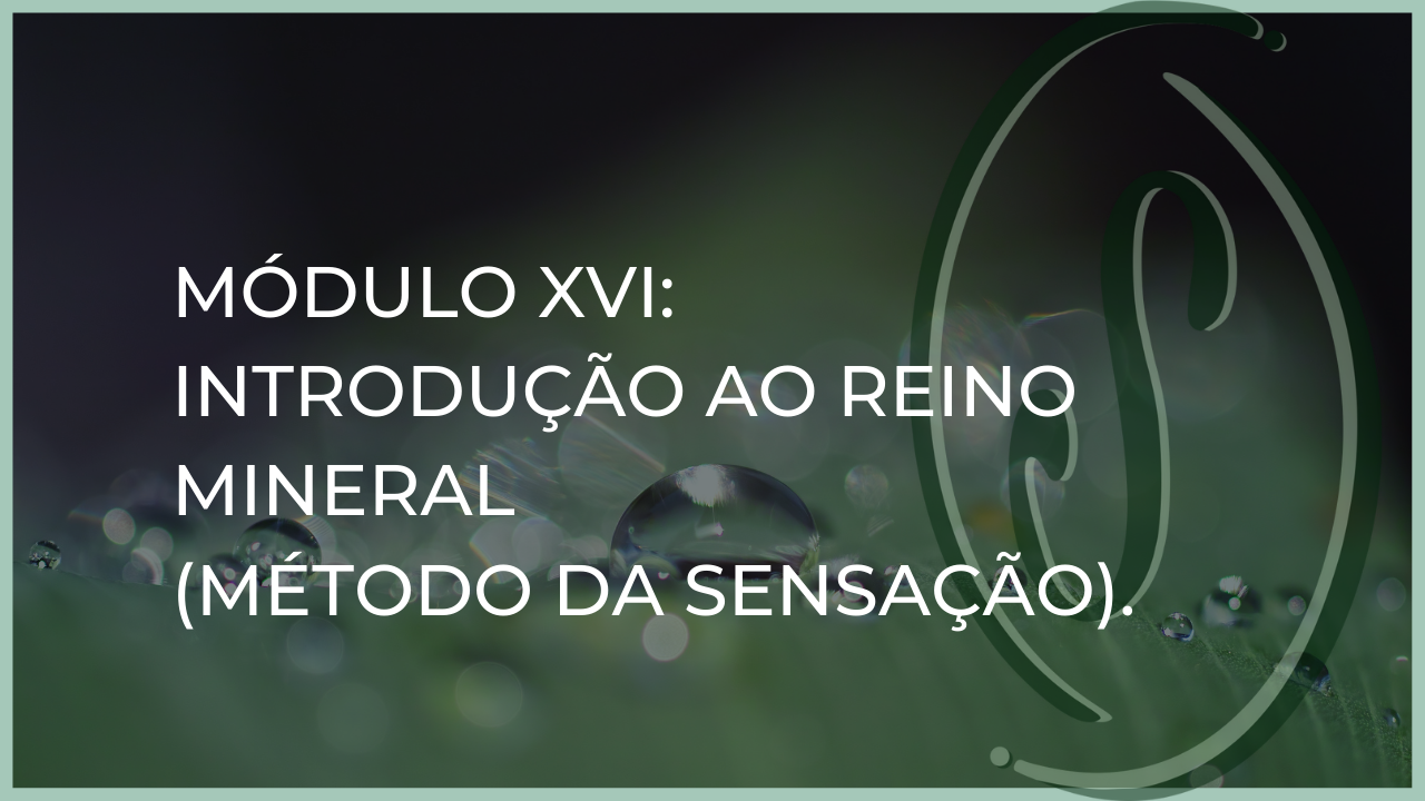 Módulo XVI: INTRODUÇÃO AO REINO  MINERAL (Método da Sensação)