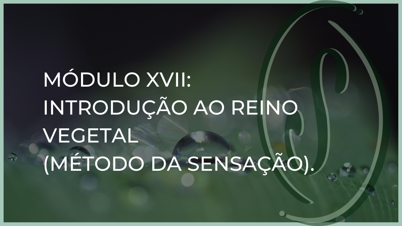 Módulo XVII: INTRODUÇÃO AO REINO VEGETAL (Método da Sensação)