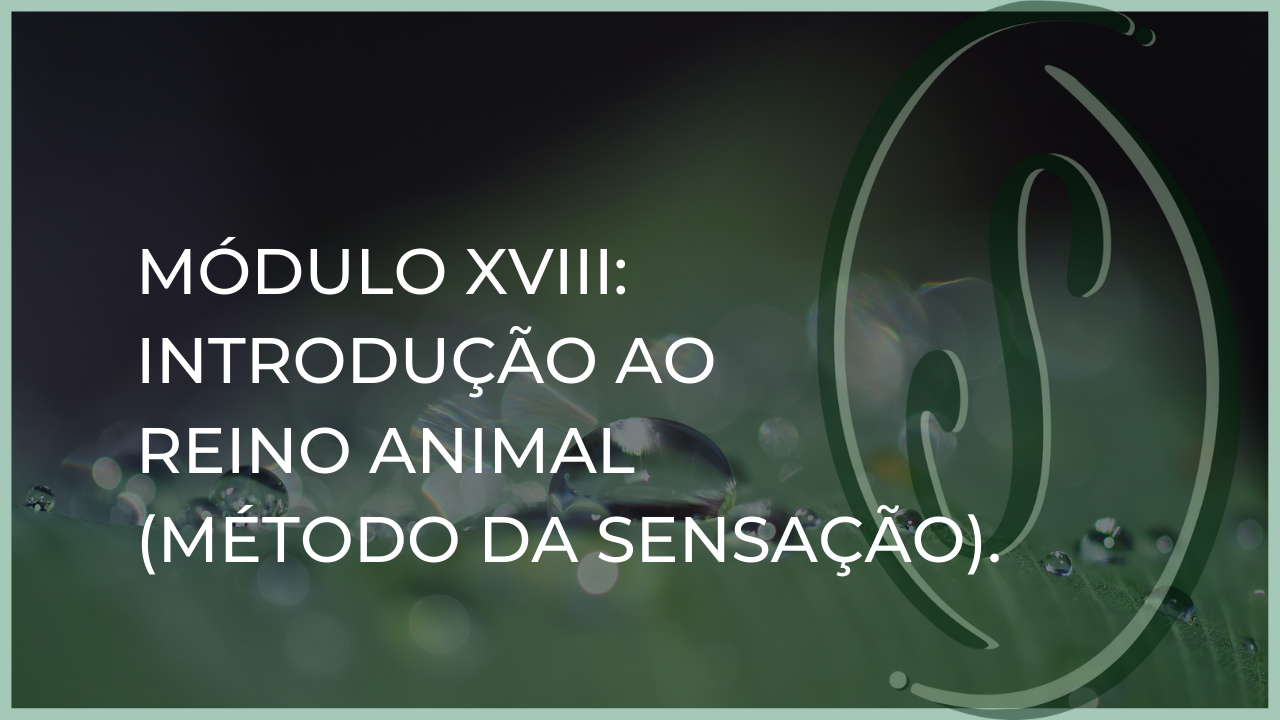 Módulo XVIII: INTRODUÇÃO AO REINO ANIMAL (Método da Sensação)