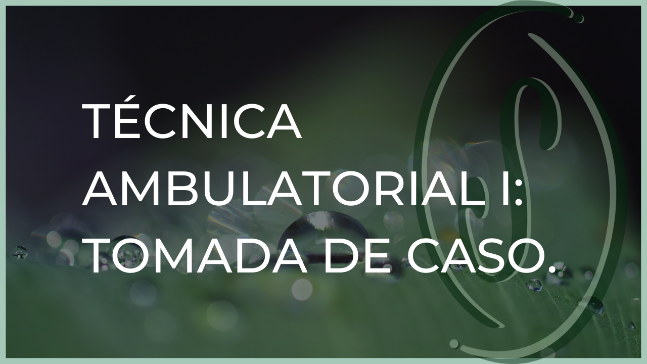 TÉCNICA AMBULATORIAL I: TOMADA DE CASO