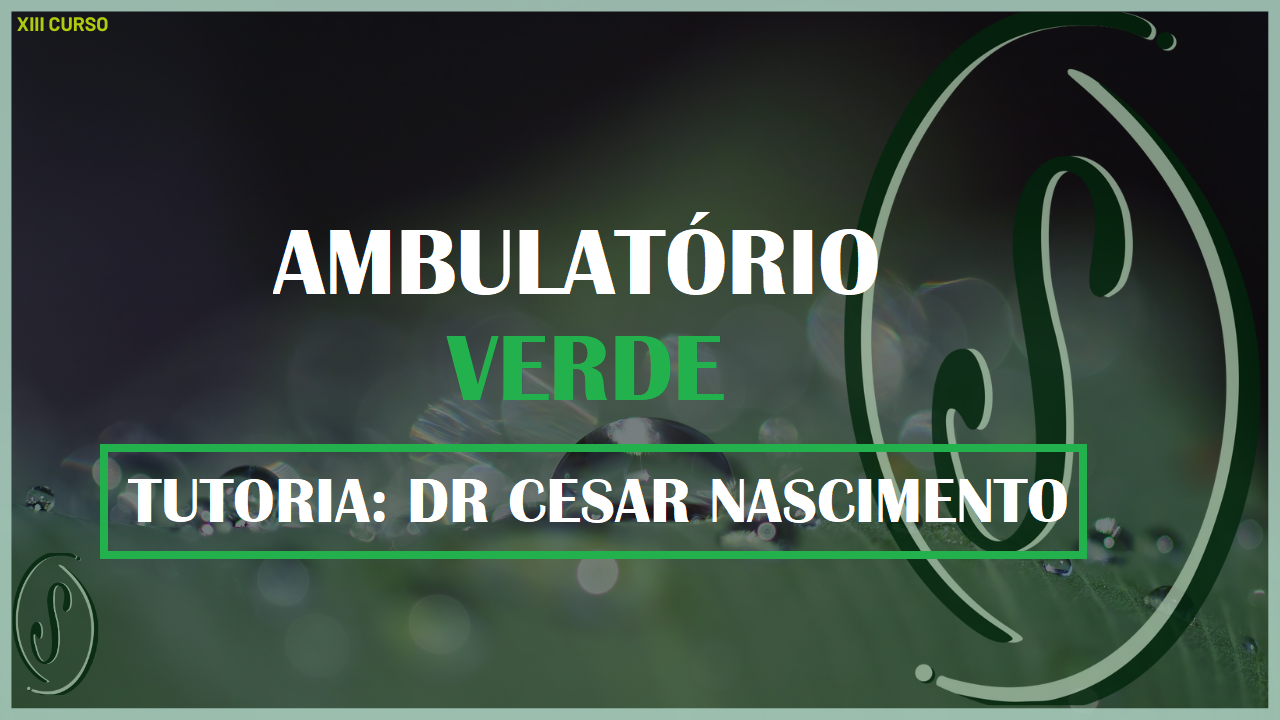 XIII CURSO - DISCIPLINA PRÁTICA AMBULATORIAL - AMBULATÓRIO VERDE