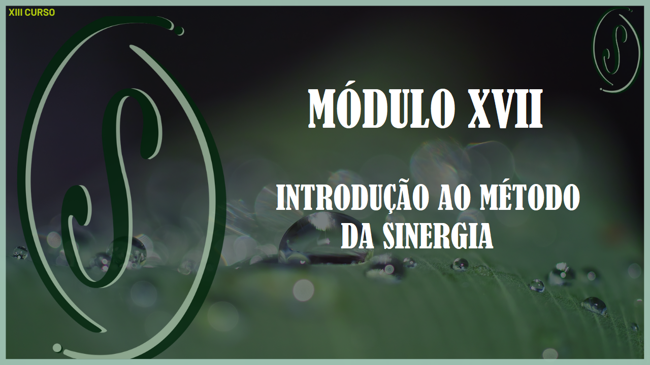 XIII CURSO  -  MÓDULO XVII - Introdução ao Método da Sinergia do Dr. Rajan Sankaran