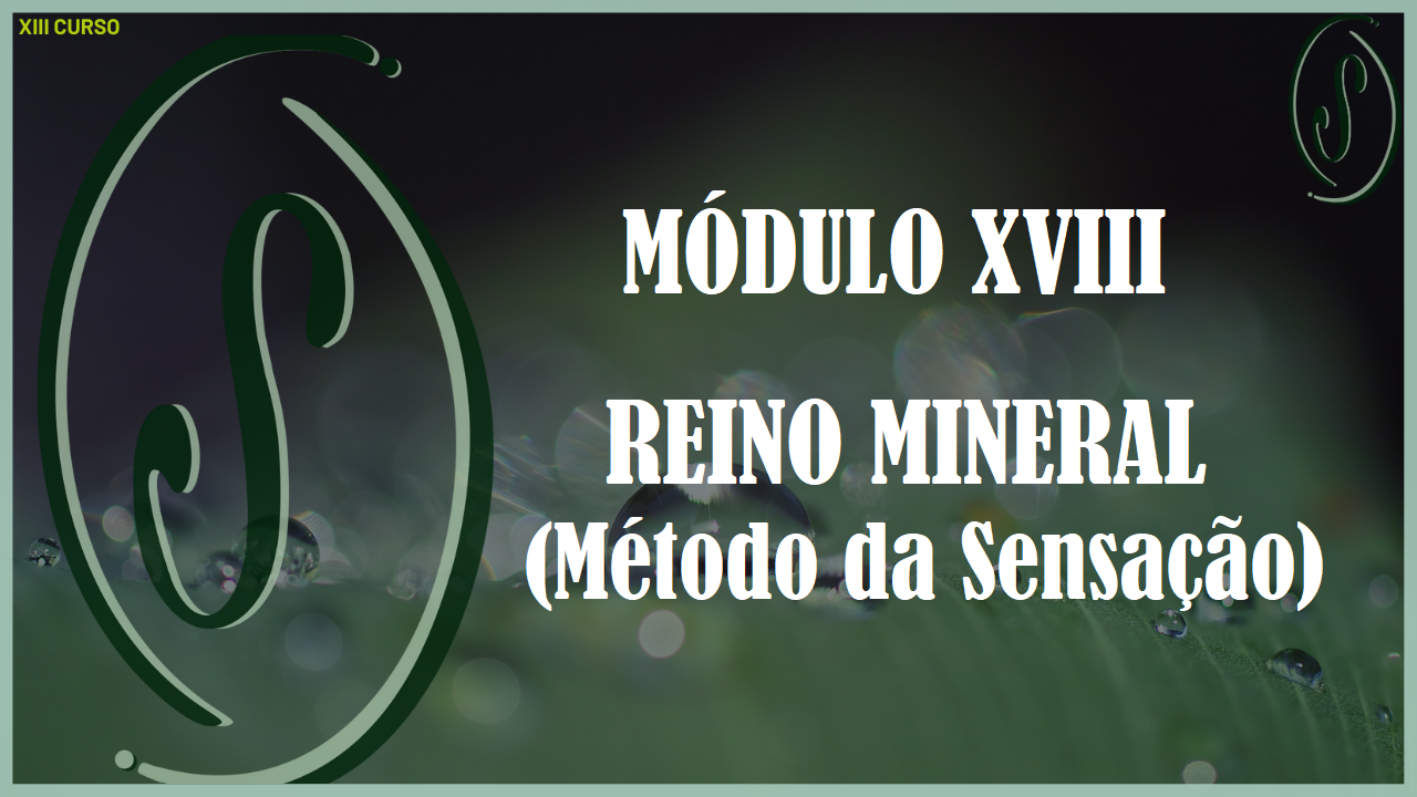 XIII CURSO - MÓDULO XVIII - INTRODUÇÃO AO REINO MINERAL (MÉTODO DA SENSAÇÃO)