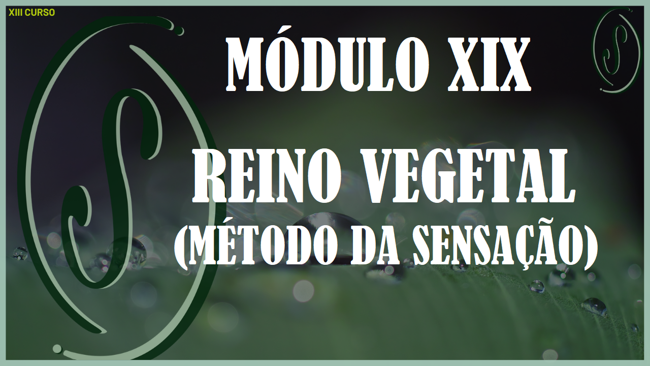 XIII CURSO - MÓDULO XIX - INTRODUÇÃO AO REINO VEGETAL (MÉTODO DA SENSAÇÃO)