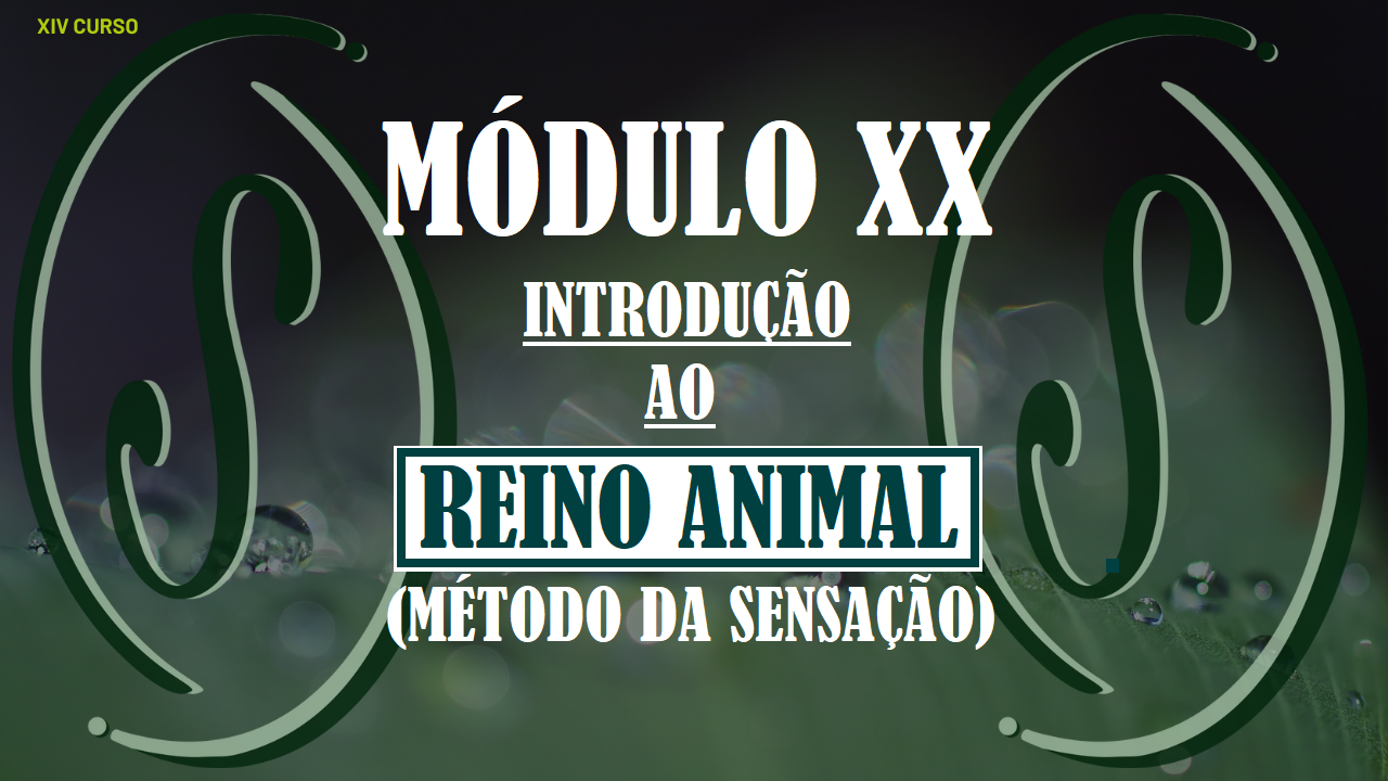 XIV CURSO DE FORMAÇÃO EM HOMEOPATIA - MÓDULO XX - MÉTODO DA SENSAÇÃO: INTRODUÇÃO AO REINO ANIMAL