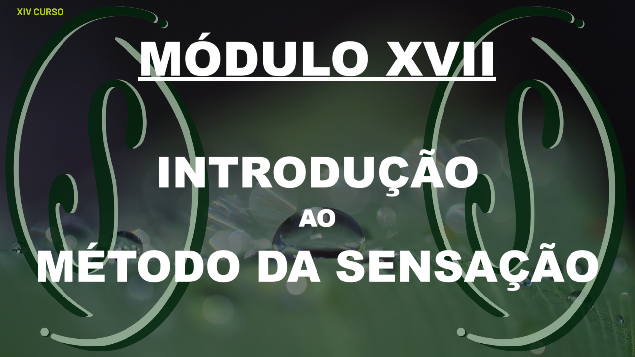 XIV CURSO  -  MÓDULO XVII - INTRODUÇÃO AO MÉTODO DA SENSAÇÃO